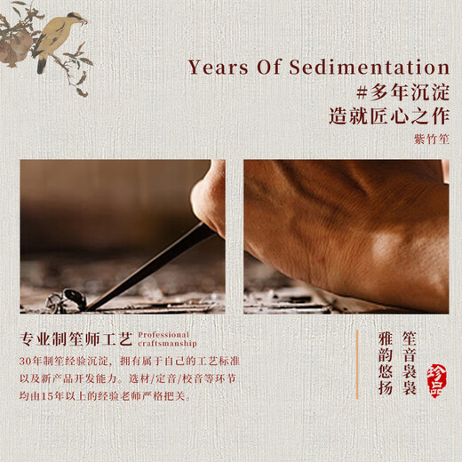 宏艺凤鸣宏艺凤鸣笙乐器14簧17簧21簧初学专业扩音紫竹圆方笙厂家直销演奏 17簧D调扩音管（紫竹+白管+箍）