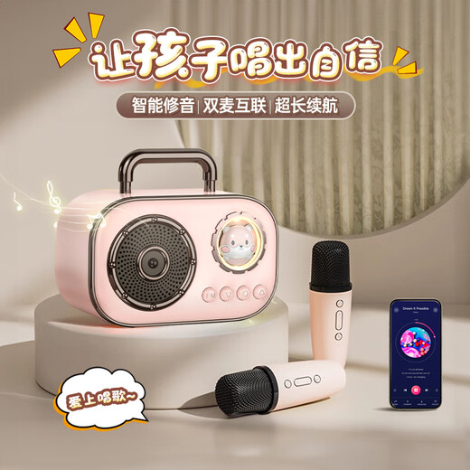 Mengduofu Kindermikrofon Audio Integrierte Spielzeuge Mädchen Geburtstagsgeschenke Bluetooth-Lautsprecher Mädchen Mädchen kleine Mädchen 6-10 Jahre alt