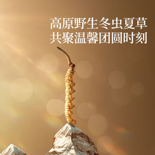Tongrentang Brand Tibet Wild Cordyceps sinensis aproximadamente 5 raíces/G7G Aproximadamente 35 raíces Cordyceps Box de regalo Tónicos de alta gama para padres
