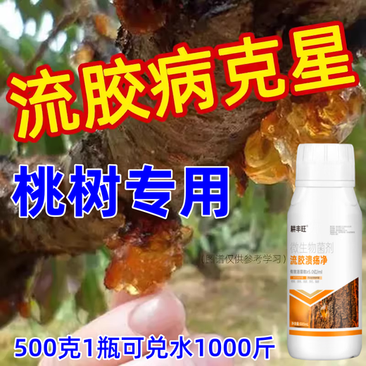 Gengfengwang peach tree gum disease special medicine peach tree gum disease one spray to clear peach tree scab disease perforation canker peach tree gum disease medicine 100ml (can be mixed with 200 Jin Jin equal to 0.5 kg of water)