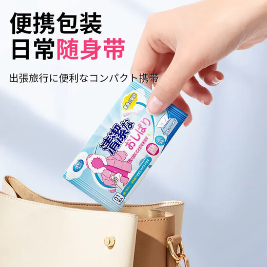 ZYVI Japan Down Jacket Cleaning Wipes Wash-Free Strong Decontamination Cleaning Clothes Special Dry Cleaning Wet Wipes 30 pieces 1 box trial pack
