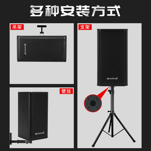 Qiasheng Chashg Professionell kleiner und mittlerer Konferenzraum Audio Spezialmontierter Lautsprecherverstärker Wireless Mikrofonkombination Home KTV-Lehr- und Schulungs-Audio-System-Geräte vier 10-Zoll-Audio-Set (Double U-Segment Gans Hals)