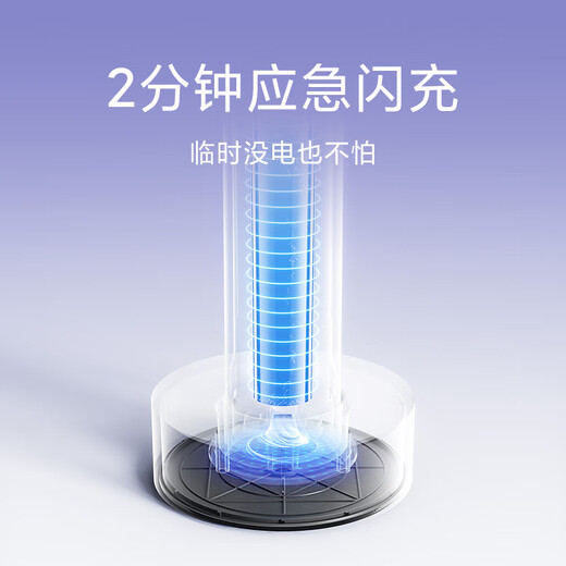 Mijia Xiaomi Electric Toothbrush T302 Adult/Student 4 Teeth Cleaning Modes 150 Days Battery Life 4 Brush Heads Silver Gray Birthday Gift