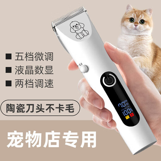 Pet shaver for trimming dogs and cats, special electric hair clipper for golden retrievers, Teddy pet hair clipper, standard + spare blade