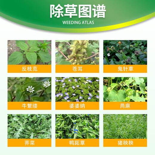 Fanbang 56% sodium dimethyl tetrachloride 2-methyl chloride sodium wheat lawn broadleaf grass knotted grass weed pesticide herbicide