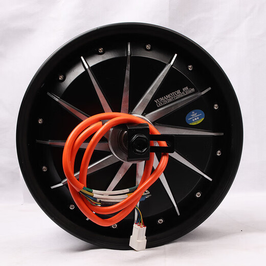 Customized for No.9/car modification 10-inch/12-inch Yuma motor 2000W 12-inch 6000 tile light plate torque version