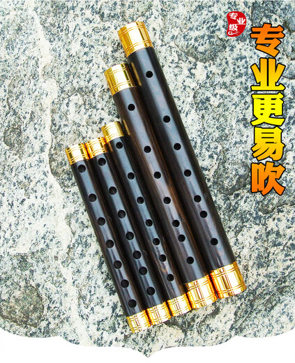 风海名家管子乐器初学者 镀金箍专业级成人儿童催泪管D大G调大F送树脂哨片 专业大F调（高配）
