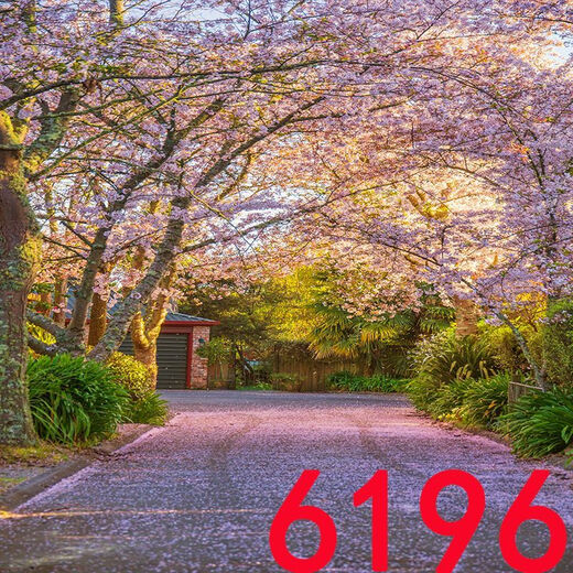 山头林村网红主播直播背景布抖音快手拍视频段子3d立体背景墙夜景风景外景 6189 1.5米宽2米高