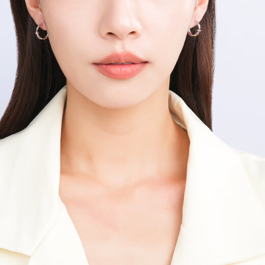 Chao Acer PT950 Platinum Earrings Birthday Gift for Women Priced to Jane EEP40000524 One pair is about 2.55g