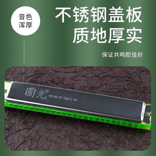 国光口琴初学者24孔初学者入门儿童复音成人专业演奏级重音口琴 24孔重音口琴