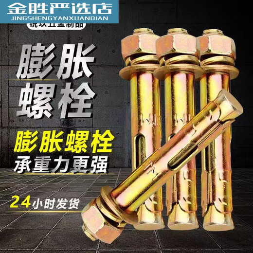 CLCEY国标膨胀螺丝小头带孔彩锌胀栓防盗门专用加长膨胀螺丝 M12*12040支14号钻头打孔 送