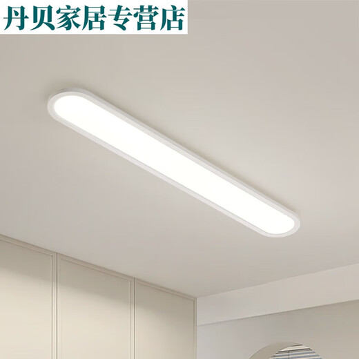 
He Jiangong aisle light corridor light led ceiling light modern simple Nordic long living room light study balcony lamp J263 24W 3892-white 60CM-three color light 24W