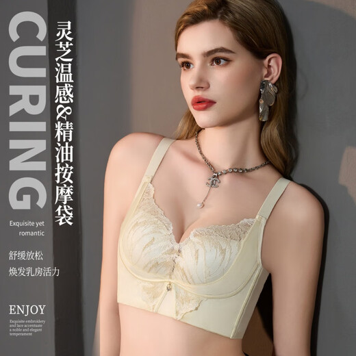 FR.YH.ZH中脉内衣金绷带精油蕾丝显大防下垂聚拢调整型女刺绣内衣9717 香槟色 40 /90 ABC通杯