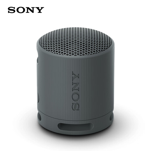 索尼（SONY） SRS-XB100 蓝牙音箱音响 迷你便携 重低音16小时续航 户外音箱 防水防尘黑色