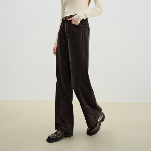 Ziqiao smart pants, small chenille straight floor-length mopping pants for women, 2025 winter new high-waisted thick brown pants, ebony brown S (size 3)