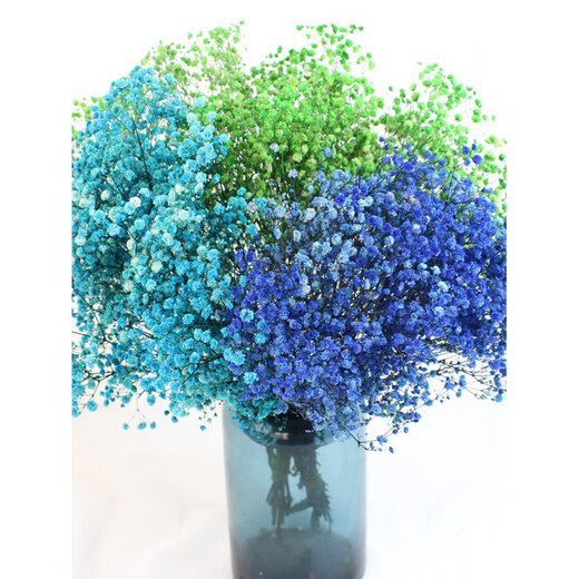 Jatu Dace Festival Dried Flowers Everlasting Gypsophila Real Flowers Home Wedding Decoration Flower Arrangement Window Soft Decoration Landscaping Dream Star Yunnan Straight Everlasting Gypsophila Light Pink About 120g