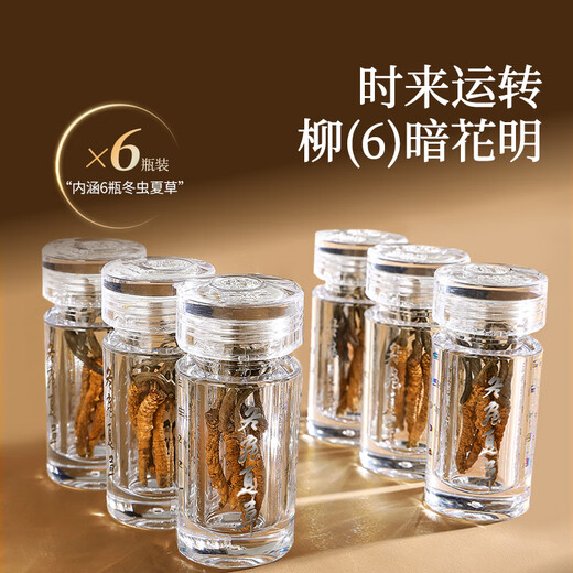 同仁堂品牌西藏野生冬虫夏草约5根/g6g约30根高端礼盒滋补品送父母长辈