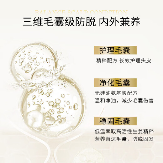 Ziyuan Ginger Anti-Loss Shampooing Orchidaceae Leaf Haiding Hair Strong Shampooing Men and Women