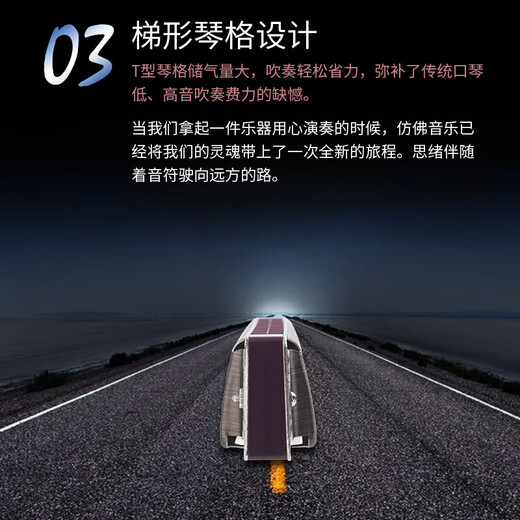 天鹅（SWAN）德国进口音簧高端重音口琴专业演奏级初学者成人复音C调 28孔 高端重音【带音标】浅木纹
