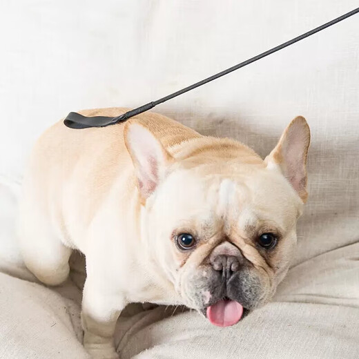 Kavatu dog training stick, dog training stick, dog training stick, pet dog training whip, large and small dog whip, snap whip equipment, pet supplies