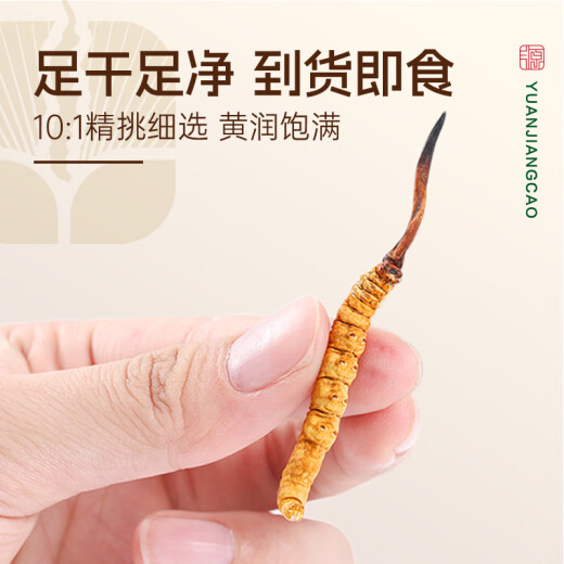 源江草 冬虫夏草3根/g 100克300根虫草礼盒高端领导送长辈端午节礼物