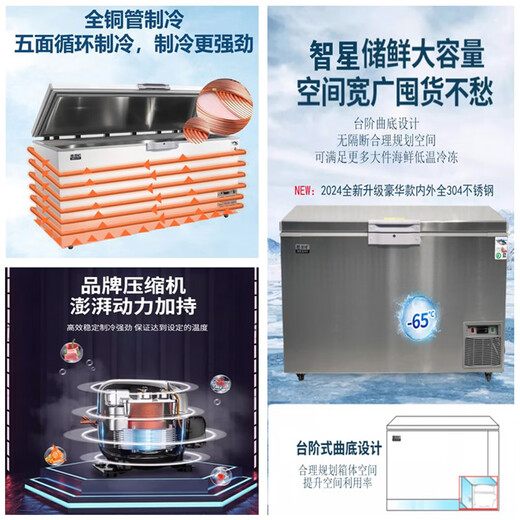 智星（ZX）超低温冰柜零下60度卧式刺身家用商用深冷柜海钓金枪鱼海鲜储存不锈钢工业生物科研大型冰箱 DW-695(-65）长1.95米
