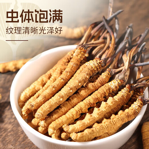 Yuanjiang Grass Cordyceps sinensis nueva caja de regalo Cordyceps seca para productos secos, entregados a líderes y ancianos 4 palos/g 10 gramos [caja de regalo ajustada]