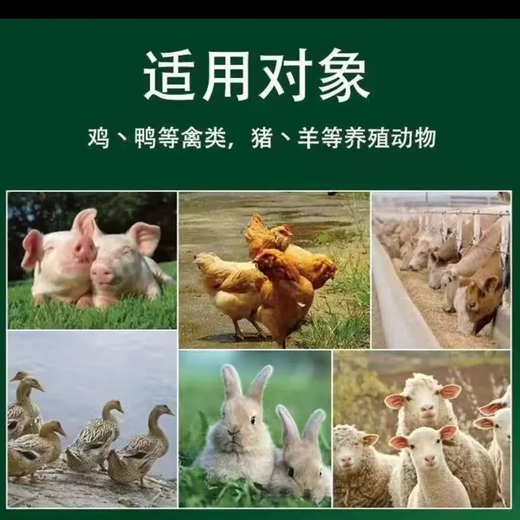 Fish meal, fish bone meal, feed, fish meal, aquatic products, fish meal, chicken, duck, goose, quail, fishing feed, fish meal, pig feed, 10 Jin Jin is equal to 0.5 kg, domestic fish meal 53 high protein