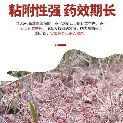 Ruifeng Huoshujing красный импортный огненный муравей специализируется на уничтожении красных импортных огненных муравьев, приманке для уничтожения муравьев, общем инсектициде 250 г * 2 бутылки на конце гнезда