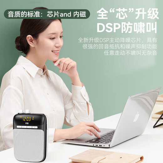 Sony Ericsson (soaiy) S518FM Wireless Little Bee Amplifier Teacher's Special Anti-Howling Speaker U Disk TF Card Microphone Bluetooth Speaker Outdoor Portable Radio Type-c Black