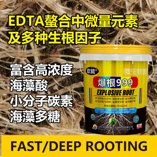 Huaneng Explosive Root Vegetable and Fruit Tree Fertilization Powerful Rooting and Seedling Water-soluble Fertilizer Barrel Explosive Root Root Multi-rooting Agent Explosive Root 999 20kg*1 barrel