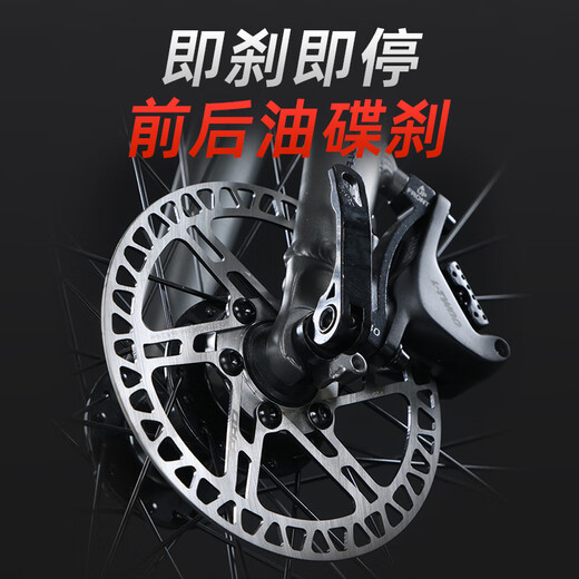Raleigh Lanling Road Bike Innen in der Hidden Line Aluminiumlegierung erwachsene Männer und Frauen Teenager Student Racing Bike Night Shadow Knight Gray Integrierte Hidden Line 700C (geeignet für Höhe 165-195 cm) 16 Geschwindigkeit Blaupause R3 Gate Transformation Line Disc Disc