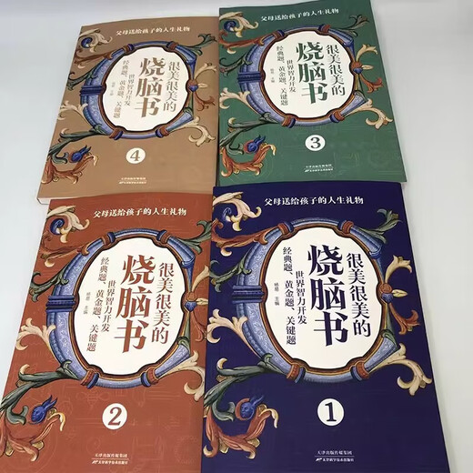 【京仓速发 明日达】很美很美的烧脑书全4册 世界智力开发经典题7-12岁小学生思维逻辑儿童数学逻辑思维训练开发书14225**9