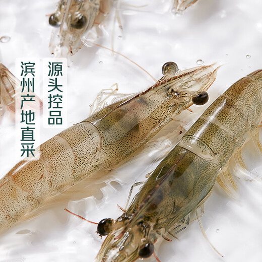 300g of fresh white shrimp (about 12-18 pieces)