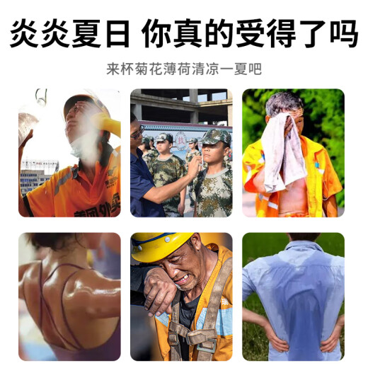 茗愿菊花薄荷清凉茶 金银花柠檬夏季凉茶工地运动高温解防渴中暑花茶 【350克(35包)/袋】 【买2送1袋共1050g】