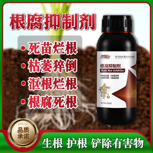 Tianyuan Fengqing root rot inhibitor damping-off rotten root rotten seedlings rapid root strengthening purification soil disease resistance 1000g 3 bottles of root rot inhibitor