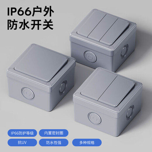 International electrician outdoor waterproof switch IP66 outdoor waterproof box surface-mounted rainstorm light power supply dual control protection one-on switch