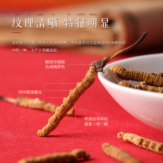 Hu Qingyutang Cordyceps sinensis 4 racines / g Boîte-cadeau en cuir portant la main sur 18-20 Roots Tibet Wild Matter Cordyceps Sinensis