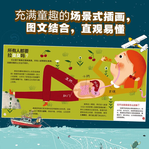 My Little Questions, 50 volumes in a gift box, Humanities, Life, Geography, Animals and Human Body Knowledge, Picture books for children aged 4-6-10 years old, Curiosity, Young, Science Bridge Books, Kindergarten Fun Extracurricular Reading for Primary Schools, Gift Box, My Little Questions, Series 1-3 (25 volumes)