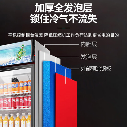 Bingxiong Displayschrank gekühltes Frischlagerschrank kommerzielle Gefrierschrankwein Direkter kaltes vertikaler Supermarkt Convenience Store Bar Biergetränkschrank Displanschrank 338 Eingangstür Displayschrank/Energieeinsparung und niedriger Verbrauch 540*530*1695