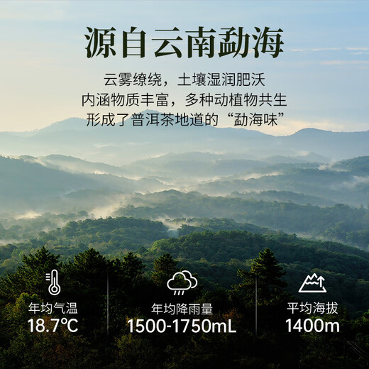 勐昌號茶叶 5款试饮装  普洱茶生茶 熟茶 陈皮普洱茶 32g