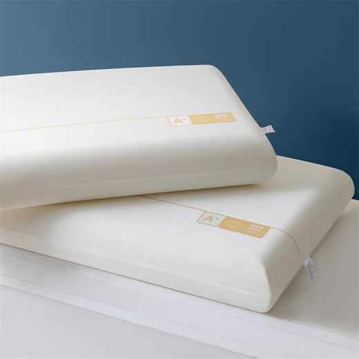 Antarctic human slow rebound memory foam pillow cervical pillow adult sleeping special hotel deep sleep pro pillow core a pair of men's pillow memory pillow-high pillow 42x70x10cm [one pair]