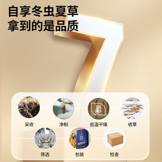 同仁堂品牌冬虫夏草约3根/g1g约3根冬虫草高端营养滋补品长辈北京同仁堂