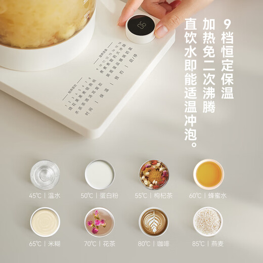 Olayks Lishi Qingchuan health pot small office 2025 new kettle boiling kettle teapot large filter tea boiler stew all in one OLK-YSH03