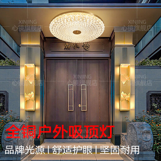 心镜全铜户外吸顶灯别墅大门口超薄门前灯室外过道阳台灯防蚊虫庭院灯 X3893-800/方形