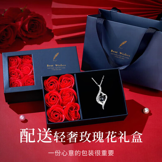Djin投影银项链女100种语言定制吊坠锁骨链老婆情人节生日礼物送女友 D695投影彩图版（模块+彩图）