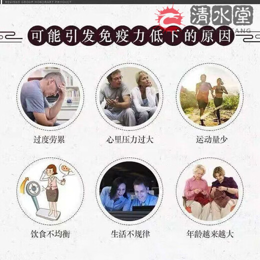 修正破壁灵芝孢子粉胶囊 中老年成人男女 增强免疫灵芝粉孢子粉手术后 1盒 体验装