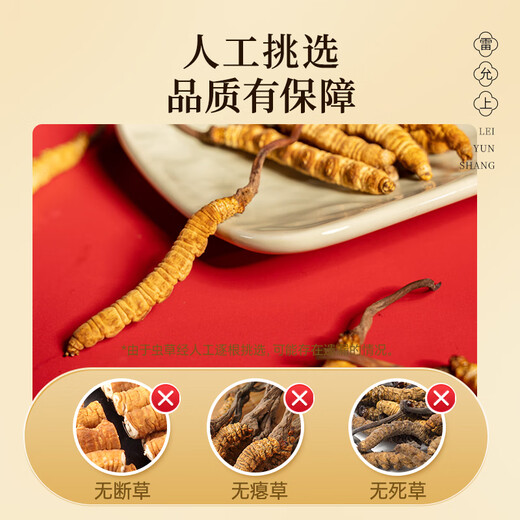 Lei Yunshang [Oficial] Cordyceps Sinensis Caja de regalo de alta gama Suplementos de alta gama para cajas de regalo para ancianos y padres [Cordyceps para amigos, Remains de amistad] 5 piezas/g 10g aproximadamente 50 piezas