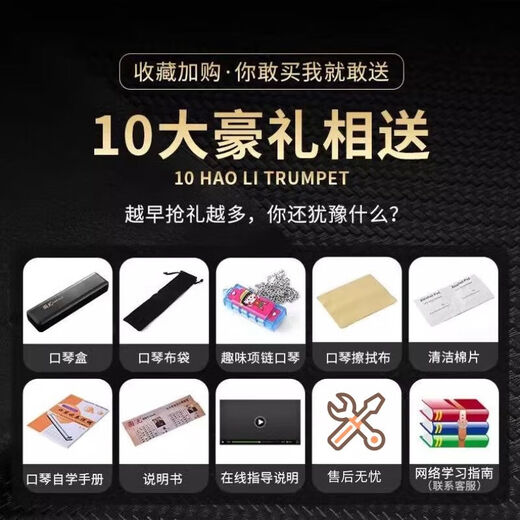 Guoguang Shanghai Time-Horizon Harmonica 24-Loch-C-Tune Polyphonische 28-Loch-echte professionelle Aufführungsebene Einführung Instrument Geschenk 24-Loch Polyphonische C-Tune Athen Black [mit phonetischem Symbol]