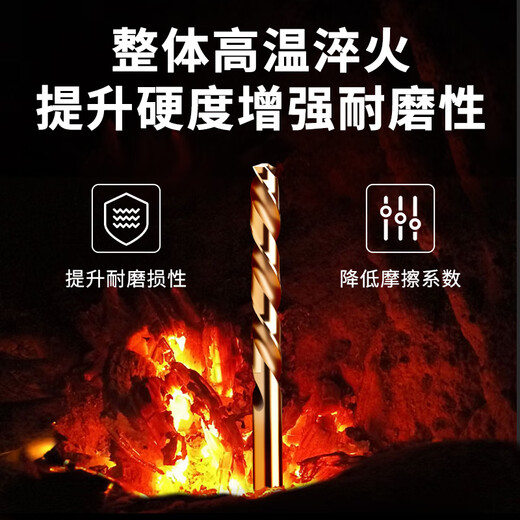 Delixi Electric High Hardness Twist Drill Bit Stainless Steel Alloy Steel Drilling 19-piece Set Official Standard